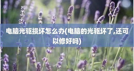 电脑光驱损坏怎么办(电脑的光驱坏了,还可以修好吗)