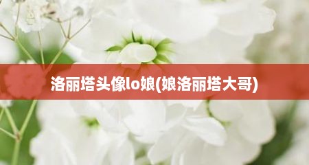 洛丽塔头像lo娘(娘洛丽塔大哥)