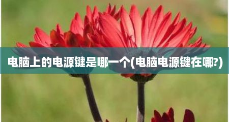 电脑上的电源键是哪一个(电脑电源键在哪?)