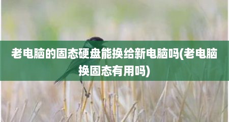 老电脑的固态硬盘能换给新电脑吗(老电脑换固态有用吗)