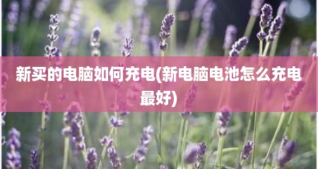 新买的电脑如何充电(新电脑电池怎么充电最好)