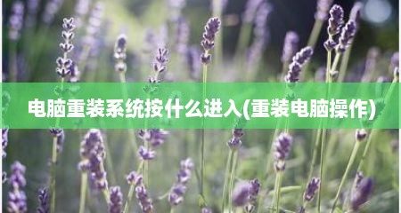 电脑重装系统按什么进入(重装电脑操作)