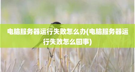 电脑服务器运行失败怎么办(电脑服务器运行失败怎么回事)