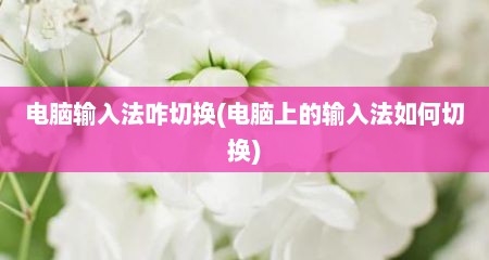 电脑输入法咋切换(电脑上的输入法如何切换)