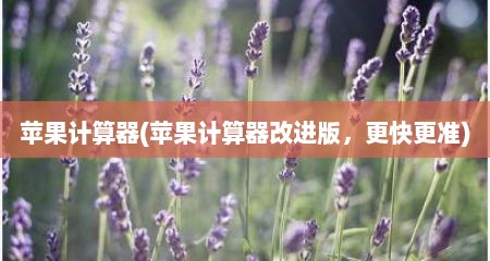 苹果计算器(苹果计算器改进版，更快更准)