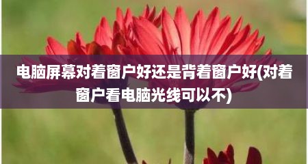 电脑屏幕对着窗户好还是背着窗户好(对着窗户看电脑光线可以不)