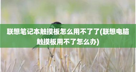 联想笔记本触摸板怎么用不了了(联想电脑触摸板用不了怎么办)