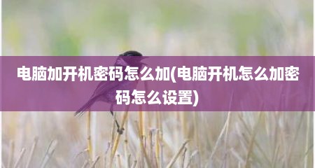 电脑加开机密码怎么加(电脑开机怎么加密码怎么设置)