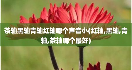 茶轴黑轴青轴红轴哪个声音小(红轴,黑轴,青轴,茶轴哪个最好)