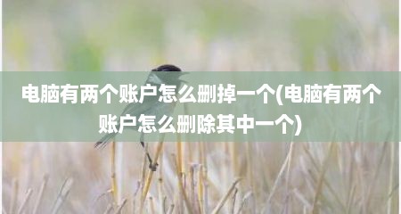 电脑有两个账户怎么删掉一个(电脑有两个账户怎么删除其中一个)