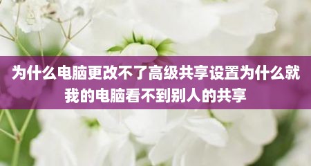 为什么电脑更改不了高级共享设置为什么就我的电脑看不到别人的共享