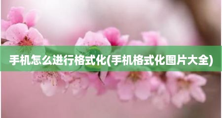 手机怎么进行格式化(手机格式化图片大全)