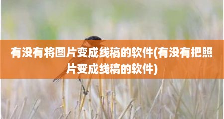 有没有将图片变成线稿的软件(有没有把照片变成线稿的软件)