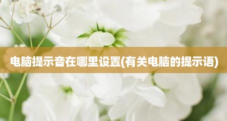 电脑提示音在哪里设置(有关电脑的提示语)