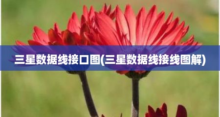 三星数据线接口图(三星数据线接线图解)