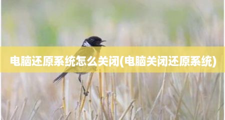 电脑还原系统怎么关闭(电脑关闭还原系统)