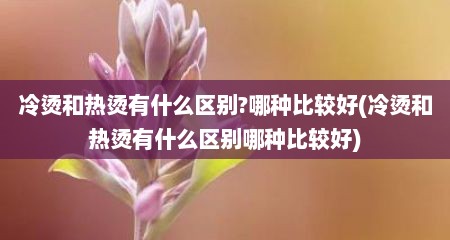 冷烫和热烫有什么区别?哪种比较好(冷烫和热烫有什么区别哪种比较好)