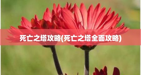 死亡之塔攻略(死亡之塔全面攻略)