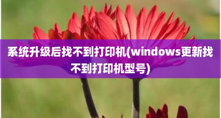 系统升级后找不到打印机(windows更新找不到打印机型号)