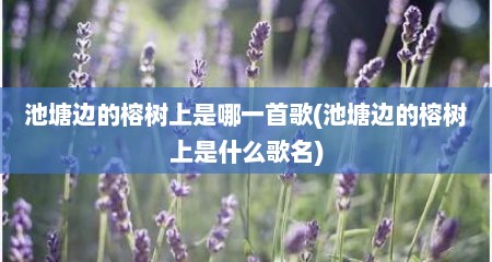 池塘边的榕树上是哪一首歌(池塘边的榕树上是什么歌名)