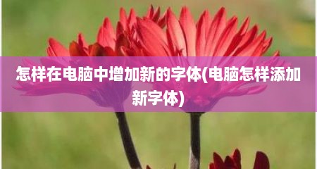 怎样在电脑中增加新的字体(电脑怎样添加新字体)