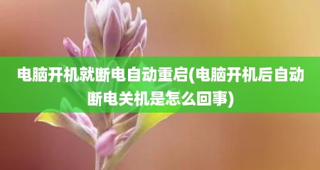 电脑开机就断电自动重启(电脑开机后自动断电关机是怎么回事)