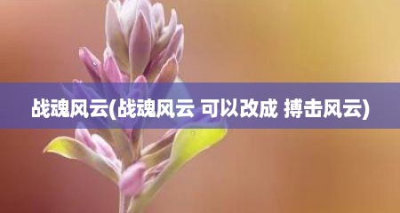 战魂风云(战魂风云 可以改成 搏击风云)