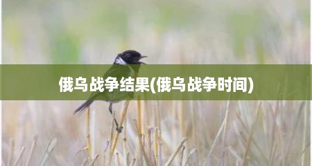 俄乌战争结果(俄乌战争时间)