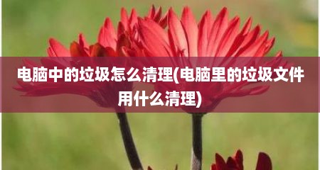 电脑中的垃圾怎么清理(电脑里的垃圾文件用什么清理)