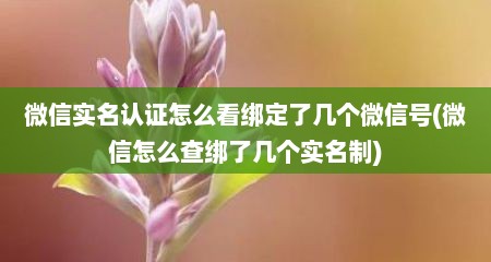 微信实名认证怎么看绑定了几个微信号(微信怎么查绑了几个实名制)