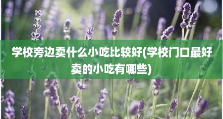 学校旁边卖什么小吃比较好(学校门口最好卖的小吃有哪些)