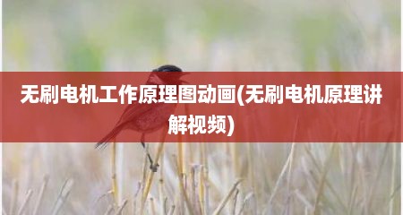 无刷电机工作原理图动画(无刷电机原理讲解视频)