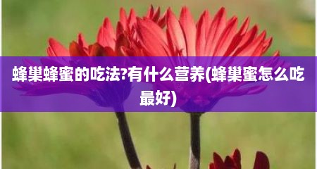 蜂巢蜂蜜的吃法?有什么营养(蜂巢蜜怎么吃最好)