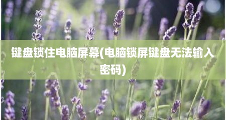 键盘锁住电脑屏幕(电脑锁屏键盘无法输入密码)