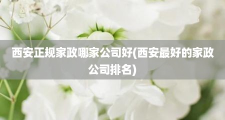 西安正规家政哪家公司好(西安最好的家政公司排名)