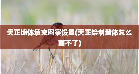 天正墙体填充图案设置(天正绘制墙体怎么画不了)