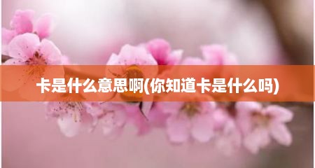 卡是什么意思啊(你知道卡是什么吗)