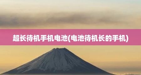 超长待机手机电池(电池待机长的手机)