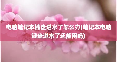 电脑笔记本键盘进水了怎么办(笔记本电脑键盘进水了还能用吗)