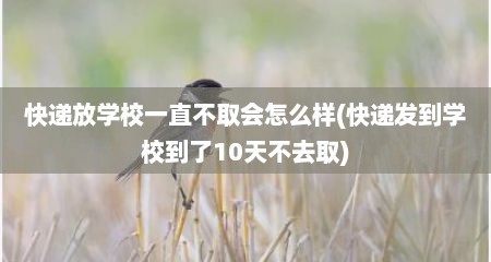 快递放学校一直不取会怎么样(快递发到学校到了10天不去取)