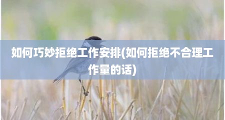 如何巧妙拒绝工作安排(如何拒绝不合理工作量的话)