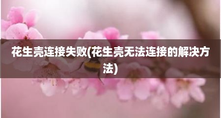 花生壳连接失败(花生壳无法连接的解决方法)