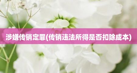 涉嫌传销定罪(传销违法所得是否扣除成本)