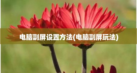 电脑副屏设置方法(电脑副屏玩法)