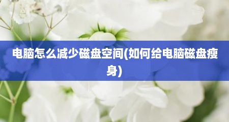 电脑怎么减少磁盘空间(如何给电脑磁盘瘦身)