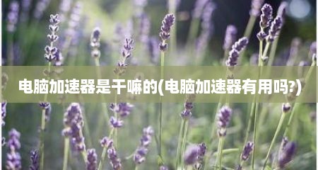 电脑加速器是干嘛的(电脑加速器有用吗?)