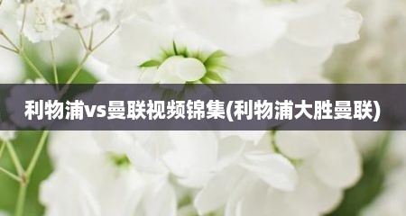 利物浦vs曼联视频锦集(利物浦大胜曼联)