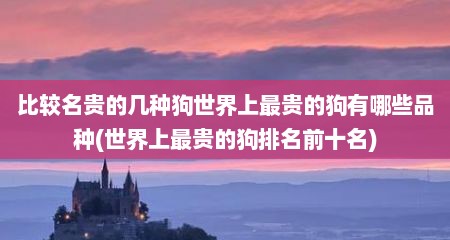 比较名贵的几种狗世界上最贵的狗有哪些品种(世界上最贵的狗排名前十名)