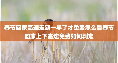 春节回家高速走到一半了才免费怎么算春节回家上下高速免费如何判定