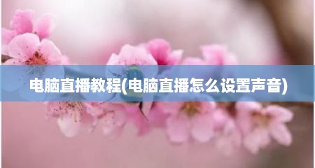 电脑直播教程(电脑直播怎么设置声音)